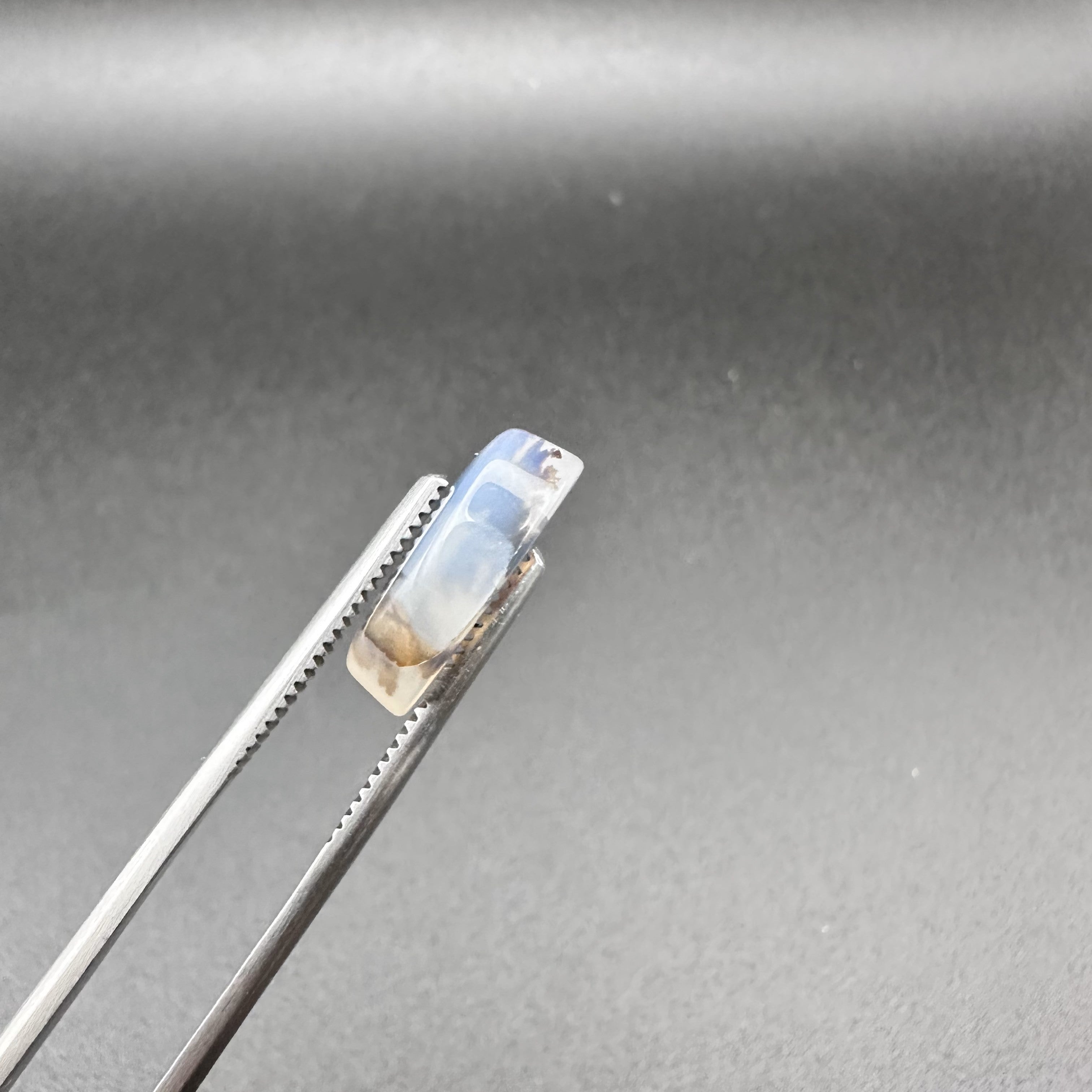 Natural Dendritic Agate - 11ct - Oval Cabochon Cut