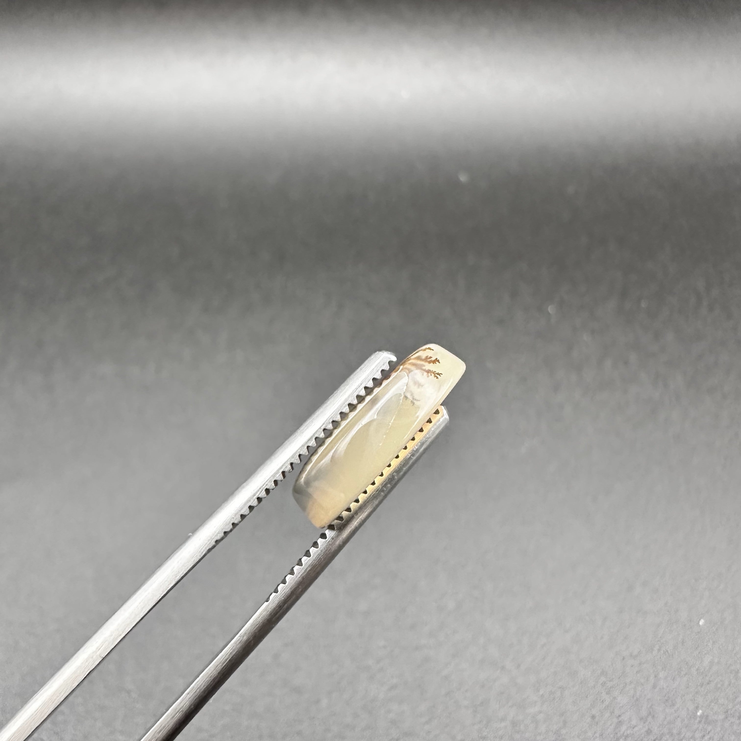 Natural Dendritic Agate - 7.25ct - Oval Cabochon Cut