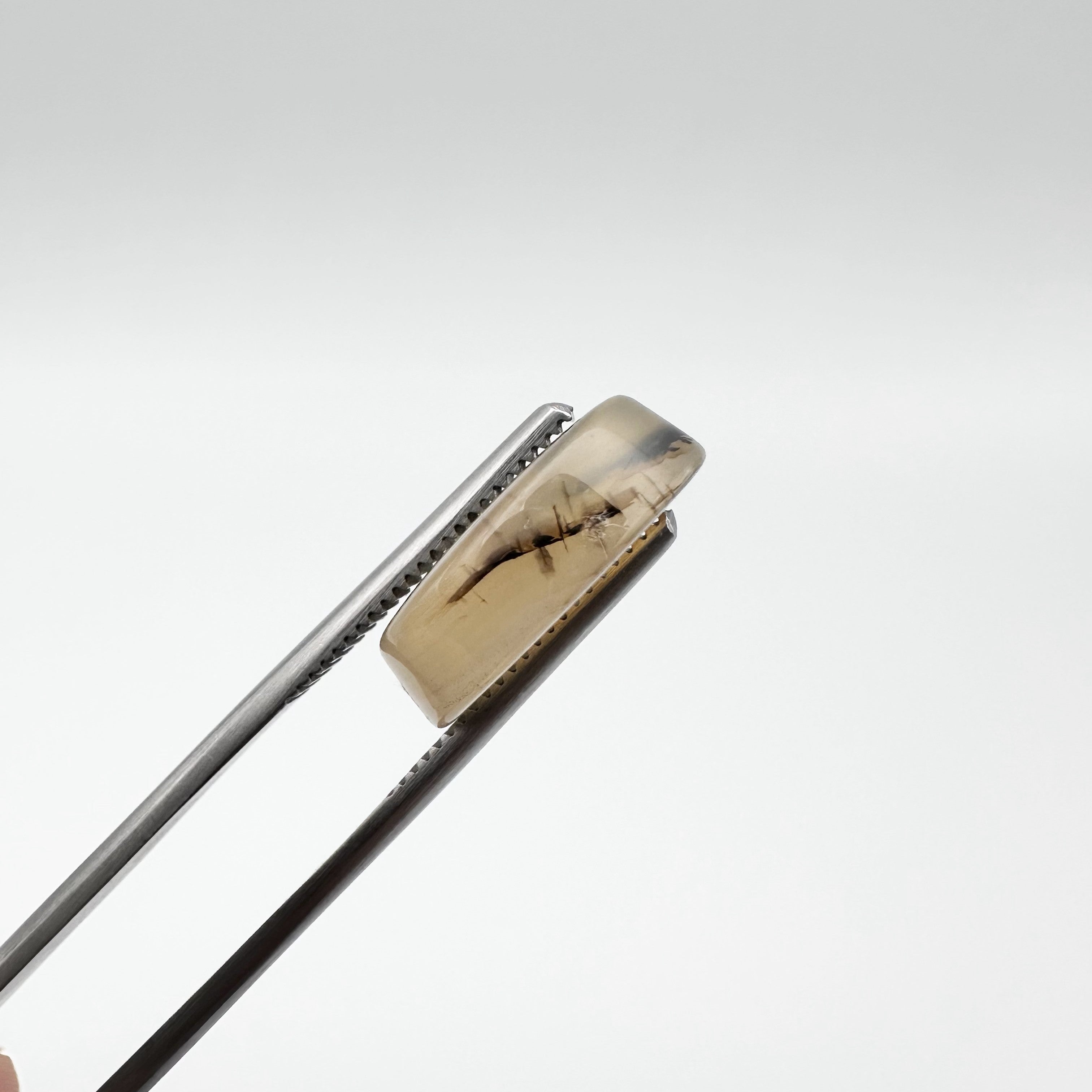 Natural Dendritic Agate - 12.35ct - Oval Cabochon Cut