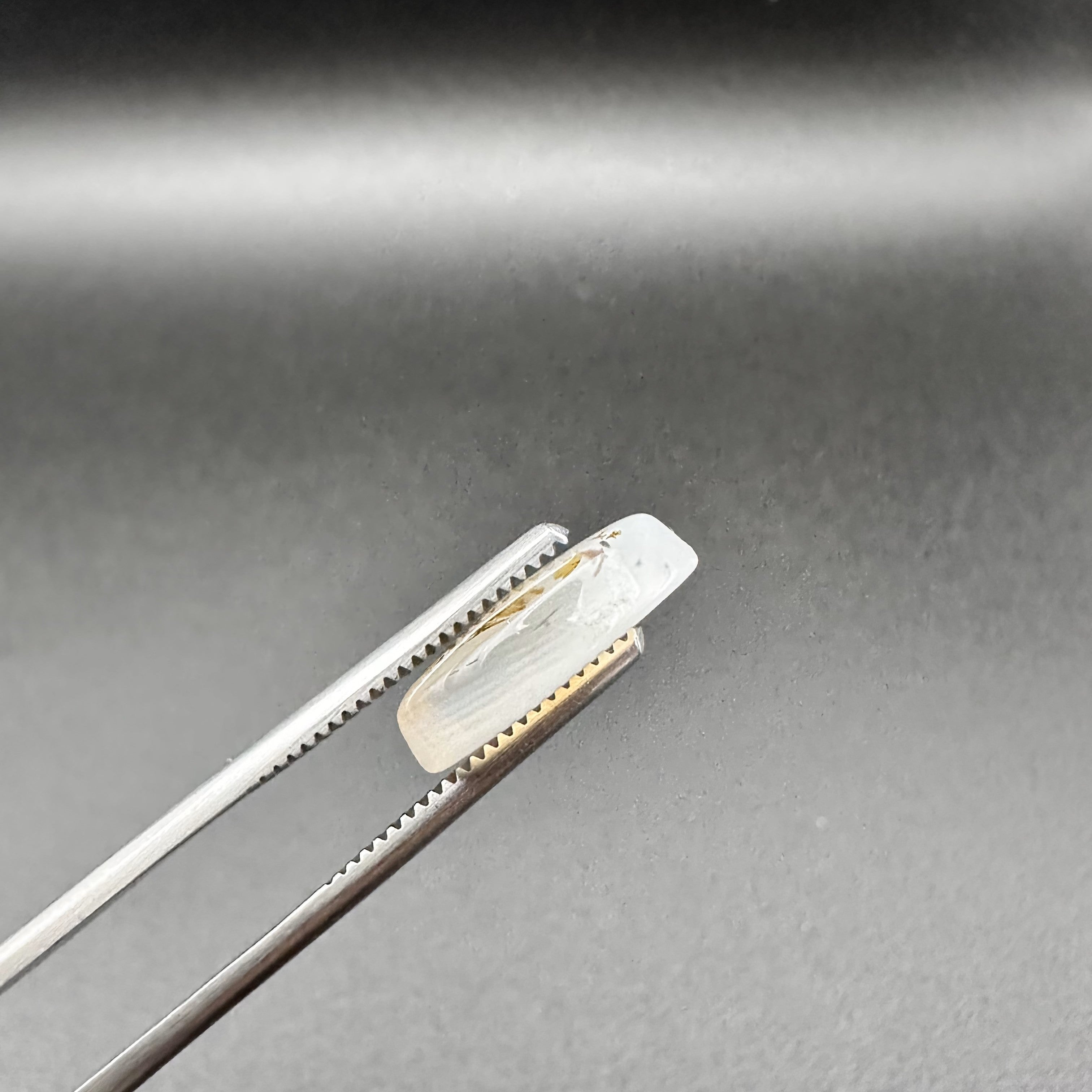 Natural Dendritic Agate - 7.75ct - Oval Cabochon Cut