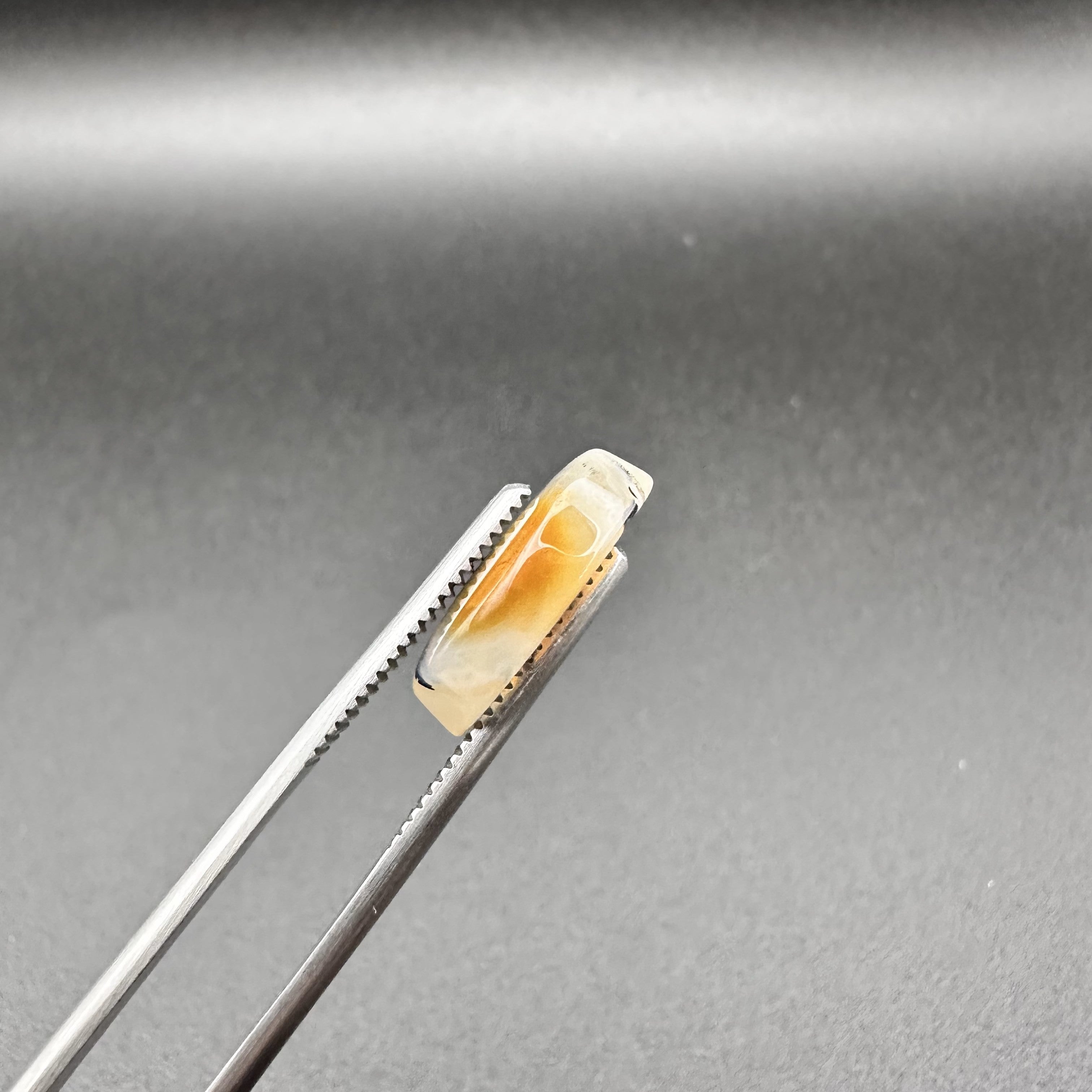 Natural Dendritic Agate - 9.95ct - Oval Cabochon Cut