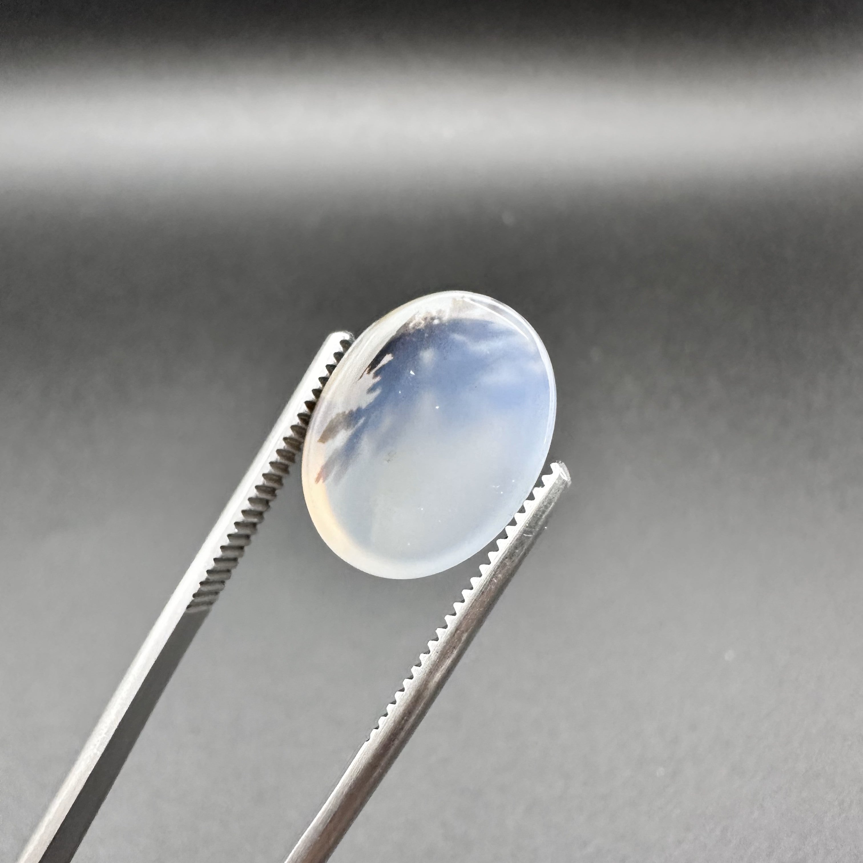 Natural Dendritic Agate - 11ct - Oval Cabochon Cut