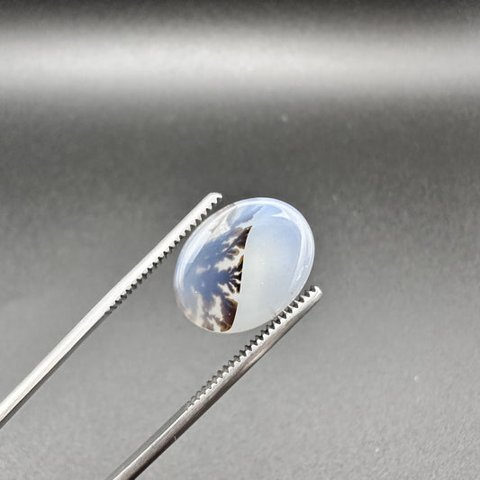 Natural Dendritic Agate - 11ct - Oval Cabochon Cut